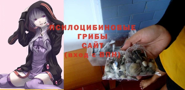 стафф Инсар