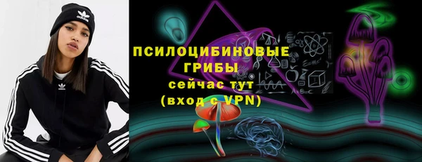 прущие крисы Каменногорск
