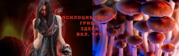 Альфа ПВП Каменск-Шахтинский