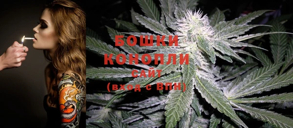 прущие крисы Каменногорск