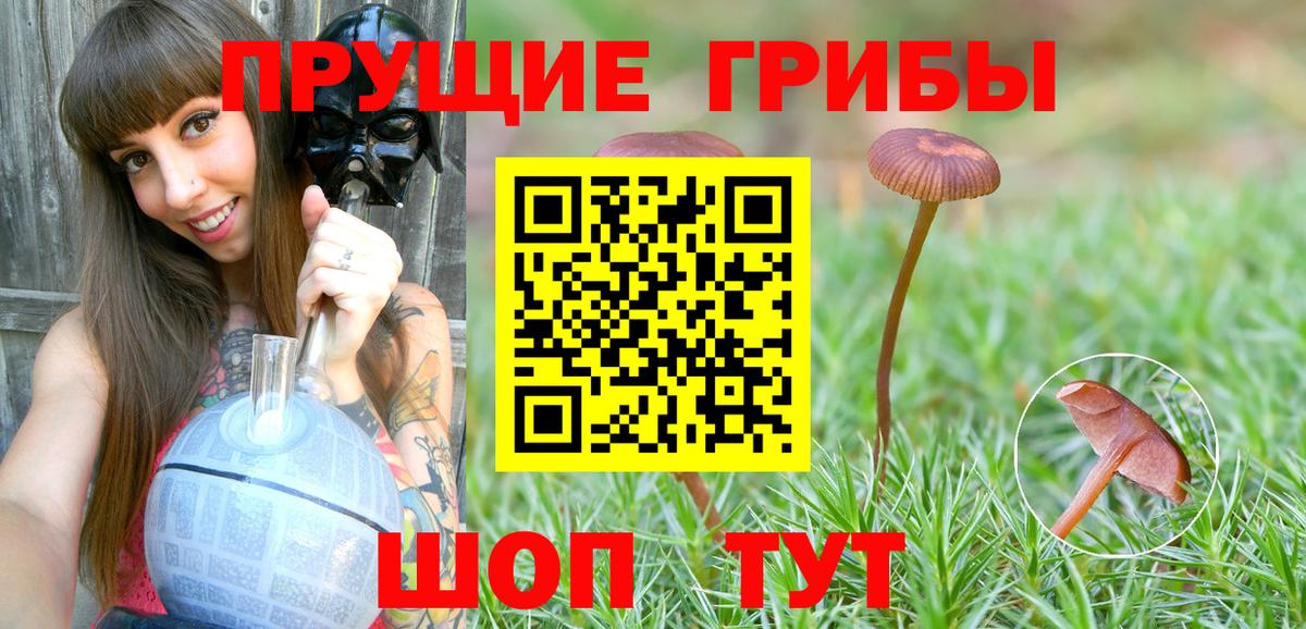 Галлюциногенные грибы прущие грибы Керчь