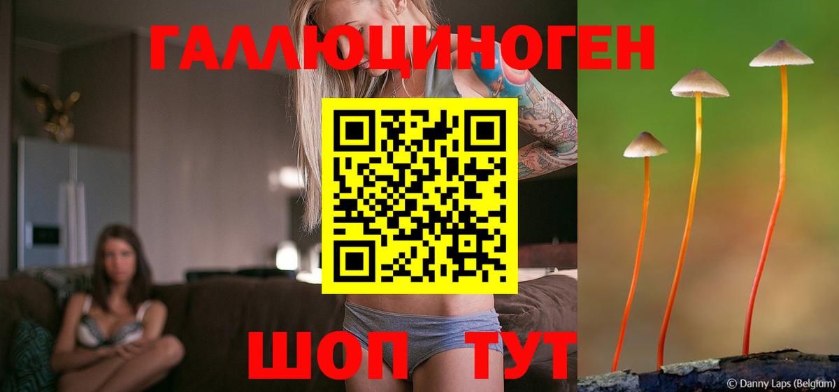как найти закладки  Псилоцибиновые грибы ЛСД  Вход с VPN  Керчь 